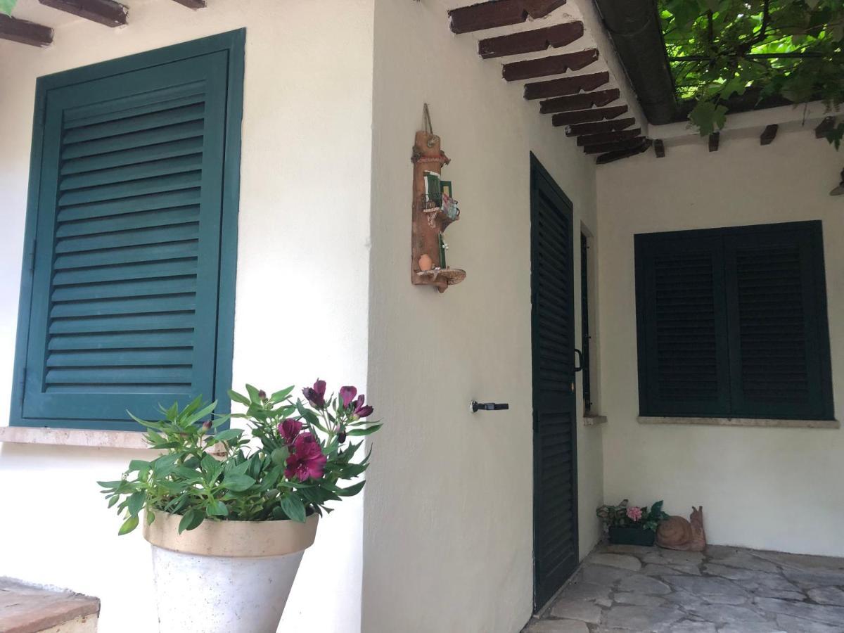 B&B Uva Fragola Perugia Luaran gambar