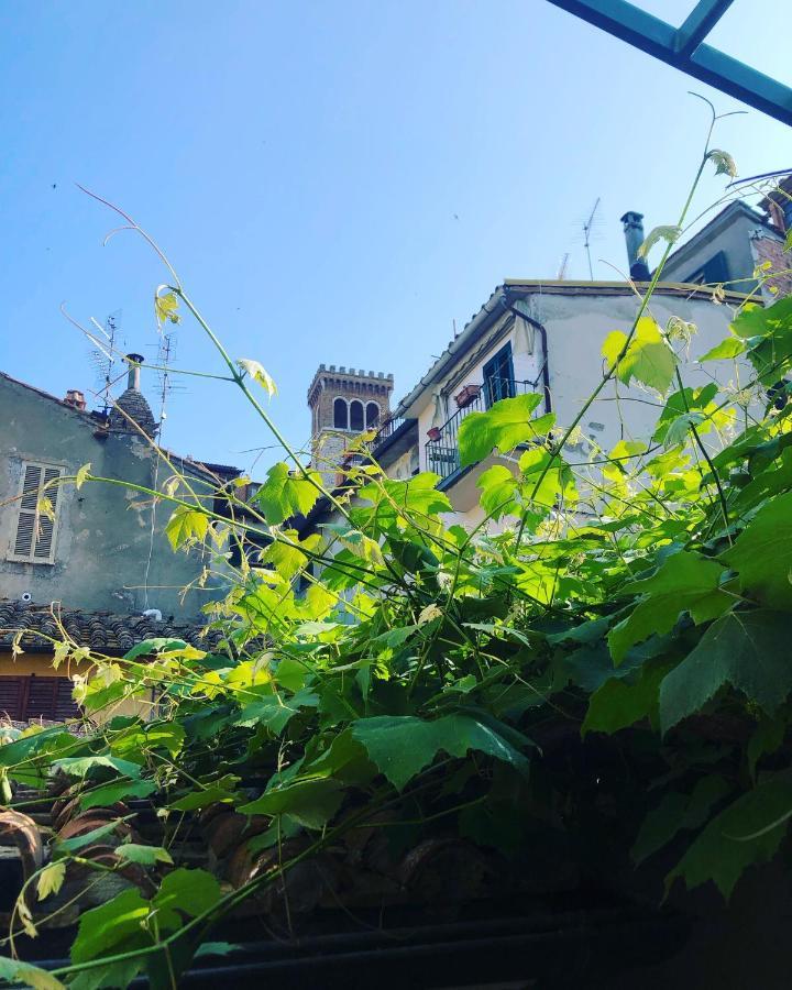 B&B Uva Fragola Perugia Luaran gambar